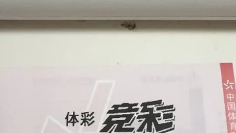 宁波并购大王再下一城：AI技术赋能香山股份，三大巨头布局